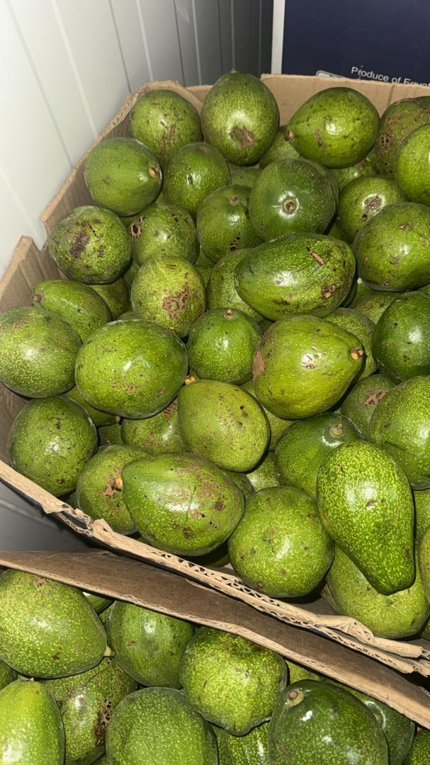 Avocats Maroc